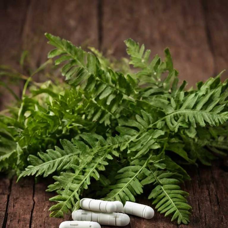 herbal capsules for menopause overview