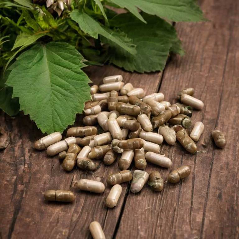 herbal capsules for month-white-patches overview