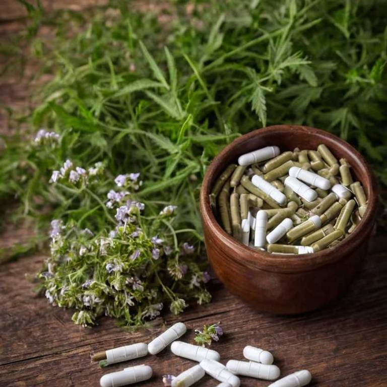 herbal capsules for morning-sickness Verbena officinalis