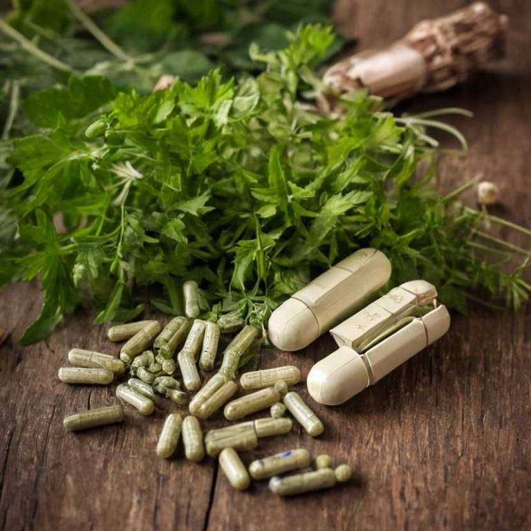 herbal capsules for motion-sickness Angelica sinensis