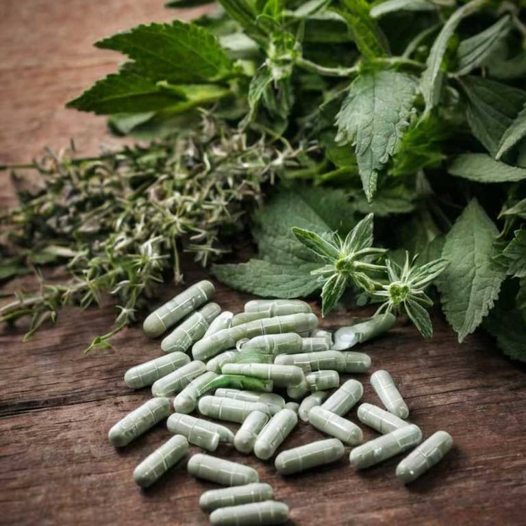 herbal capsules for mucus Stachys officinalis