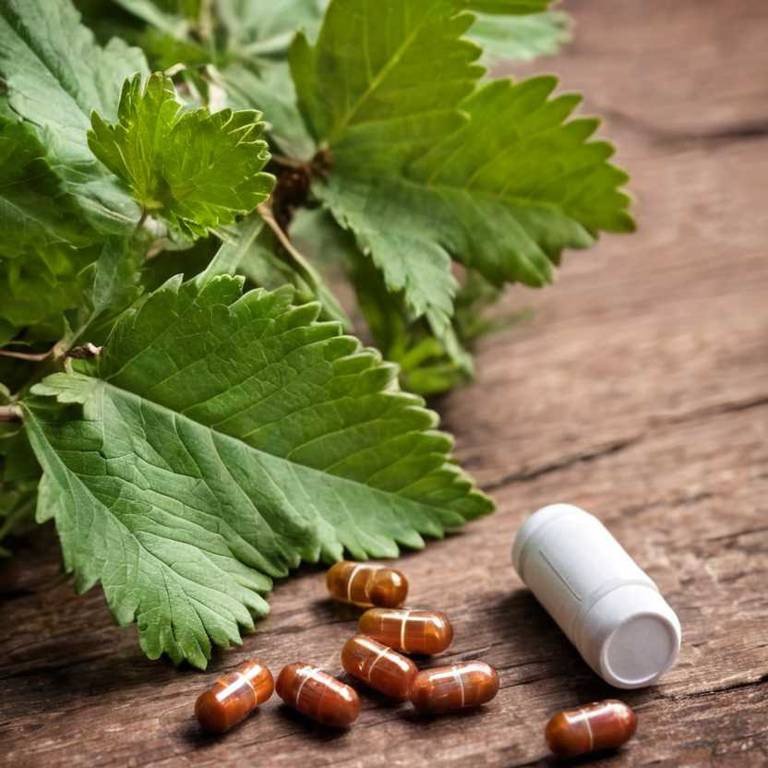 herbal capsules for nose-bleeding Crataegus monogyna