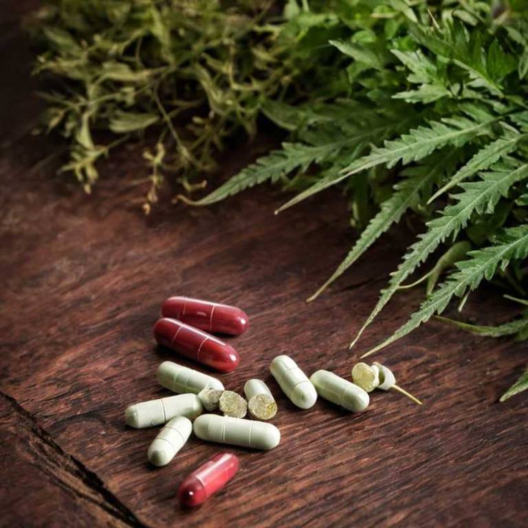 herbal capsules for osteoarthritis Rheum palmatum