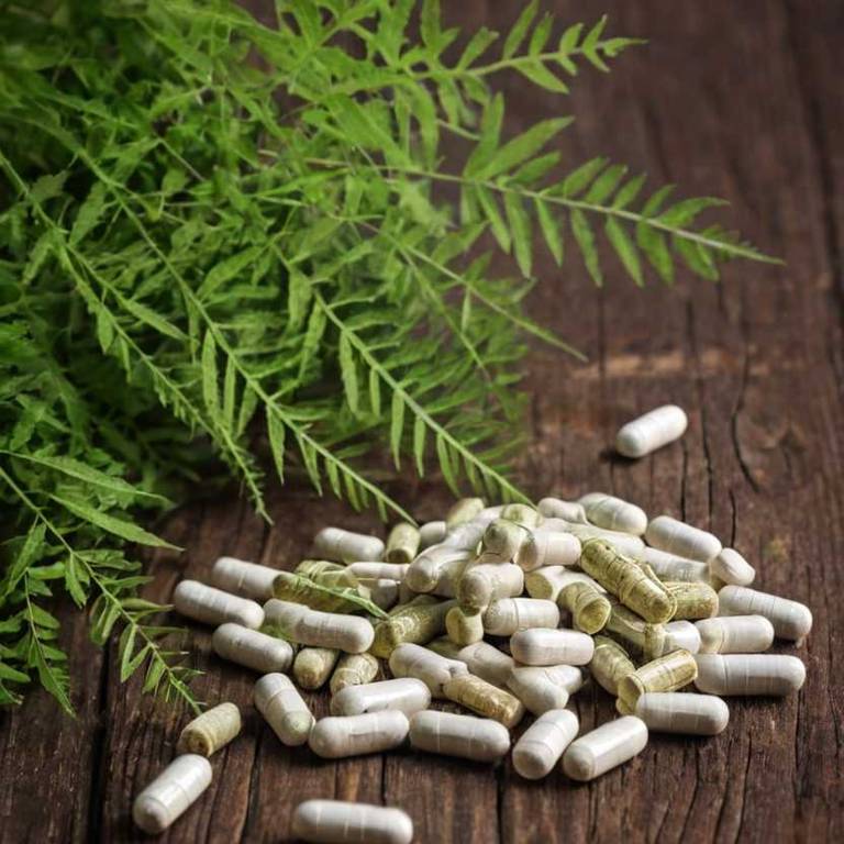 herbal capsules for plantar-fasciitis overview