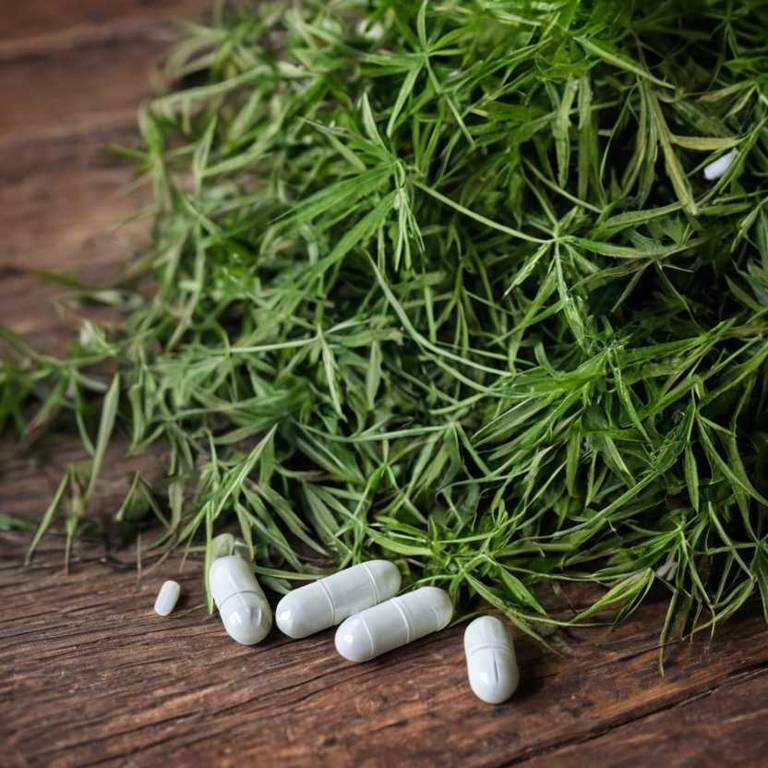 herbal capsules for ringworm Serenoa repens