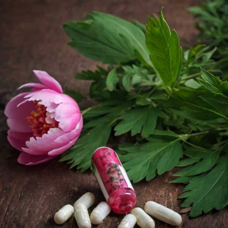 herbal capsules for stiff-neck Paeonia lactiflora