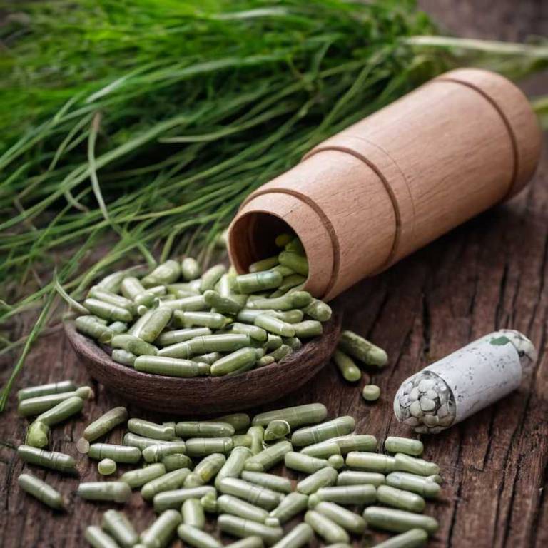 herbal capsules for stomach-growling Cymbopogon citratus