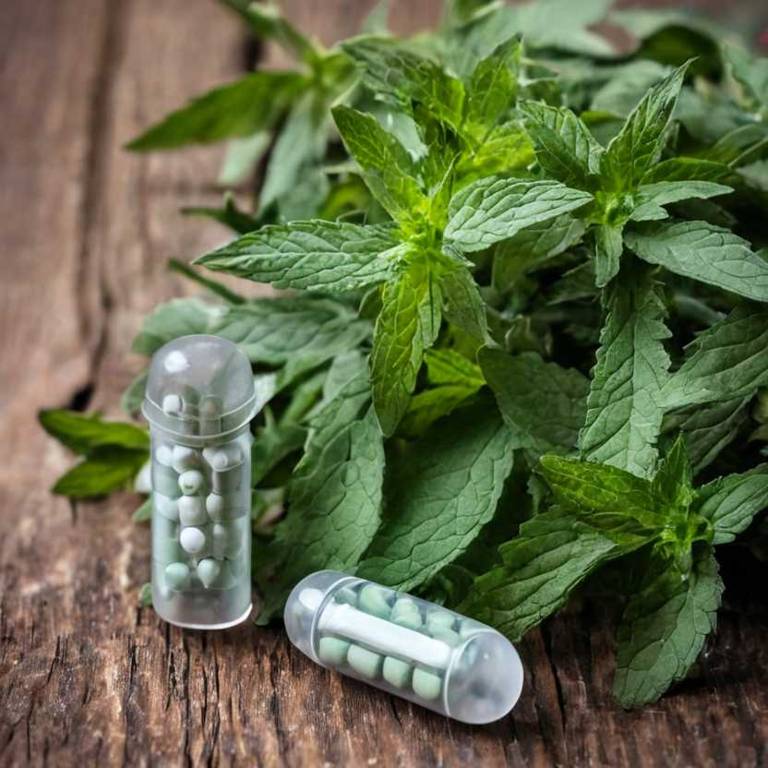 herbal capsules for stomach-pain Mentha x piperita