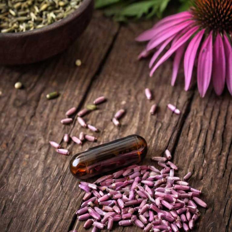 herbal capsules for vaginitis Echinacea purpurea