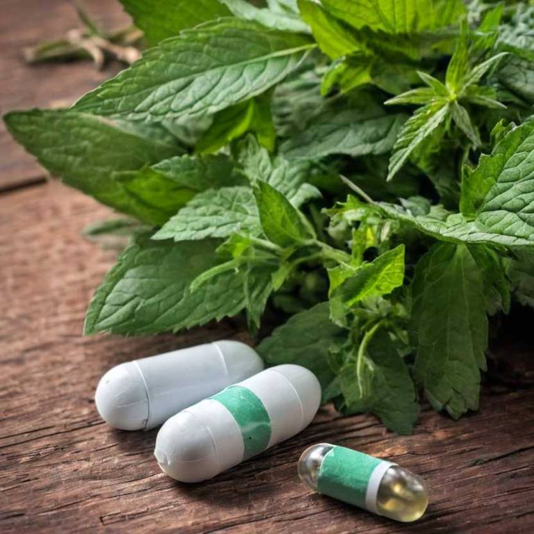 herbal capsules for white-tongue Mentha x piperita