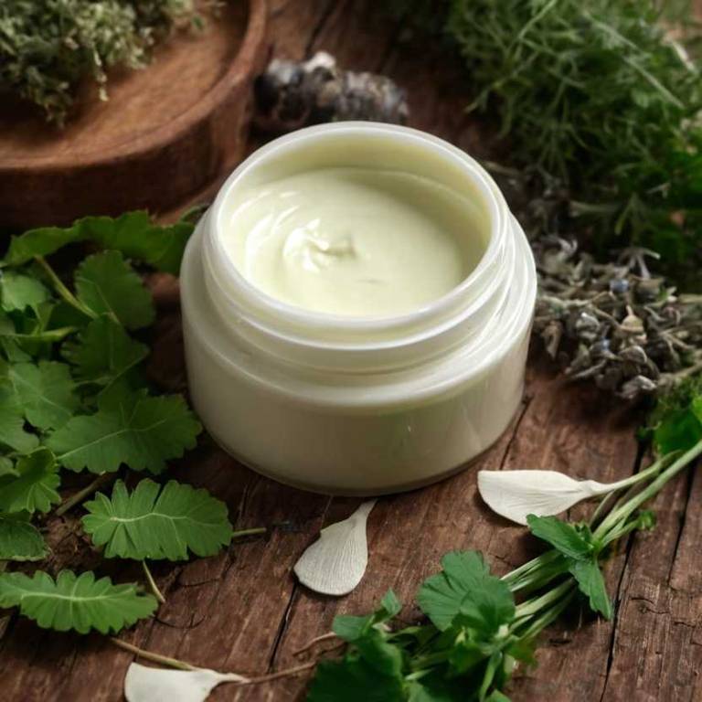 herbal creams for aging Ginkgo biloba