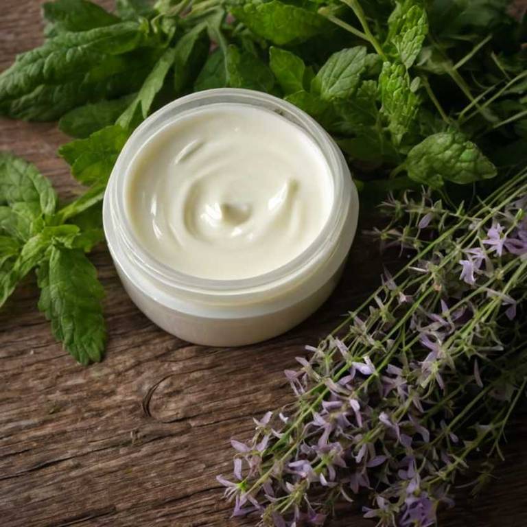 herbal creams for aging Melissa officinalis