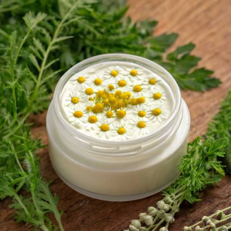 herbal creams for akylosing-spondylitis Tanacetum parthenium