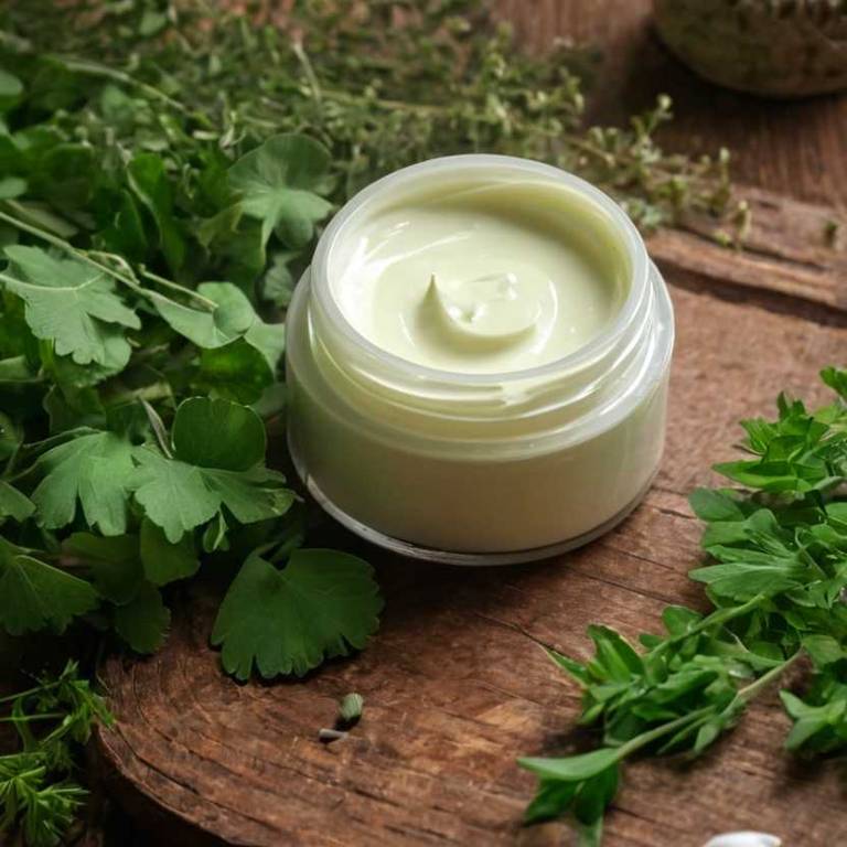 herbal creams for altitude-sickness Ginkgo biloba