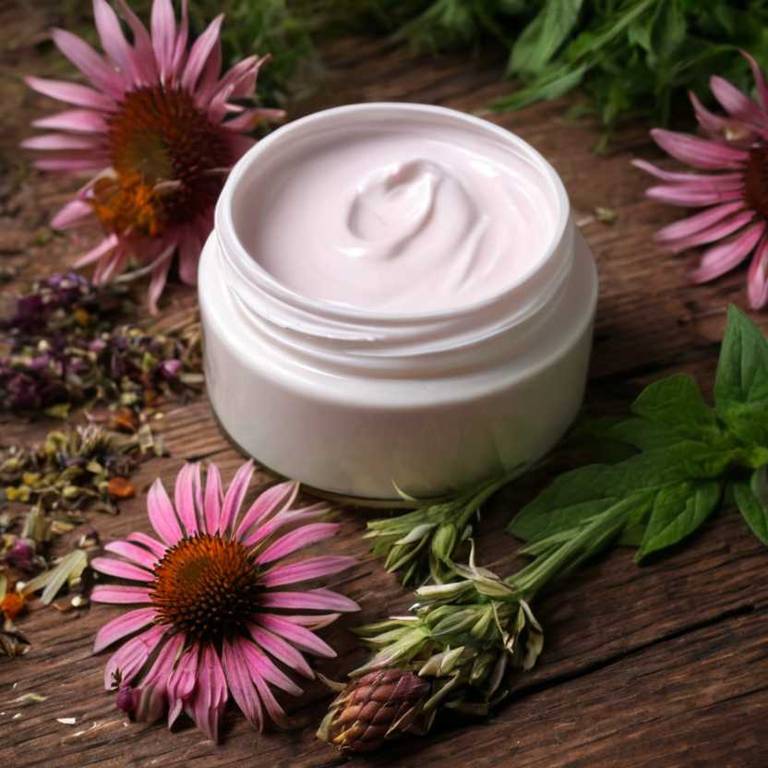 herbal creams for amenorrhea Echinacea angustifolia