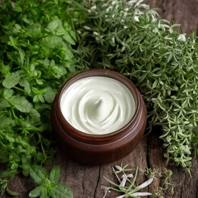 herbal creams for arthritis Harpagophytum procumbens