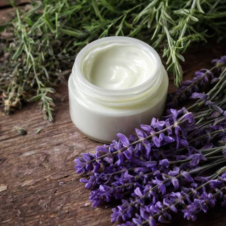 herbal creams for arthritis Lavandula angustifolia