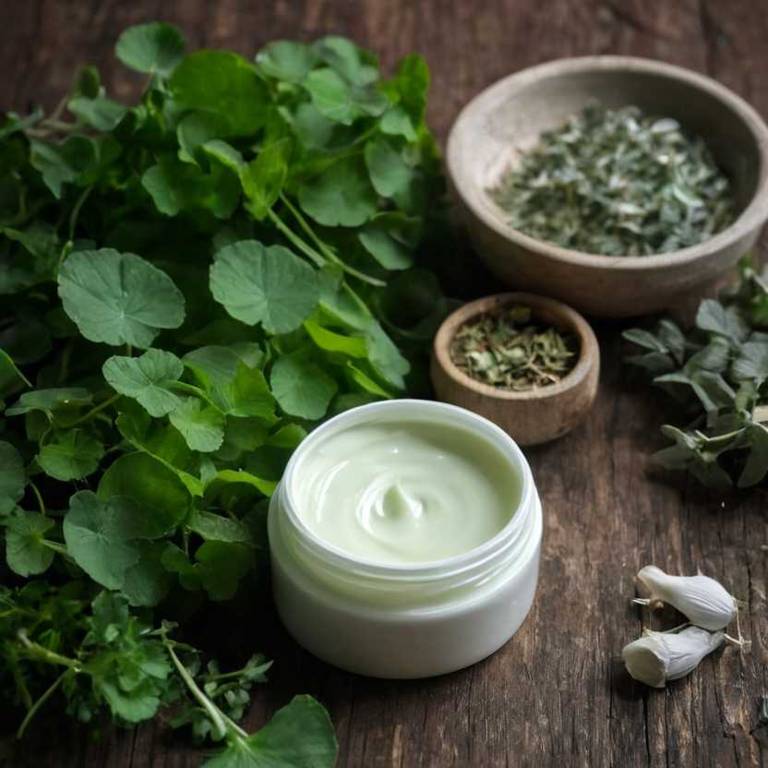 herbal creams for athlete-foot Centella asiatica