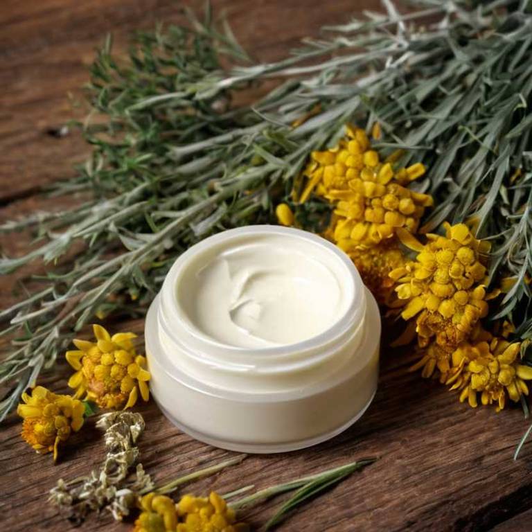 herbal creams for back-pain Helichrysum italicum