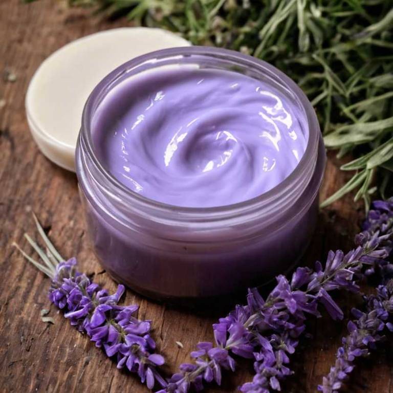 herbal creams for back-pain Lavandula angustifolia