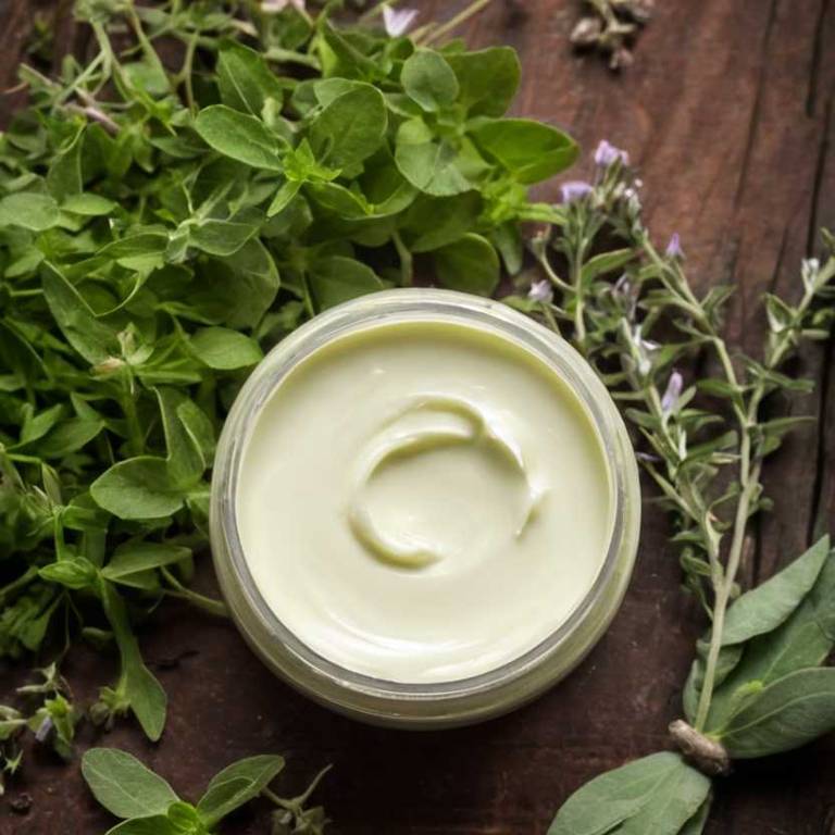 herbal creams for bad-breath Origanum majorana