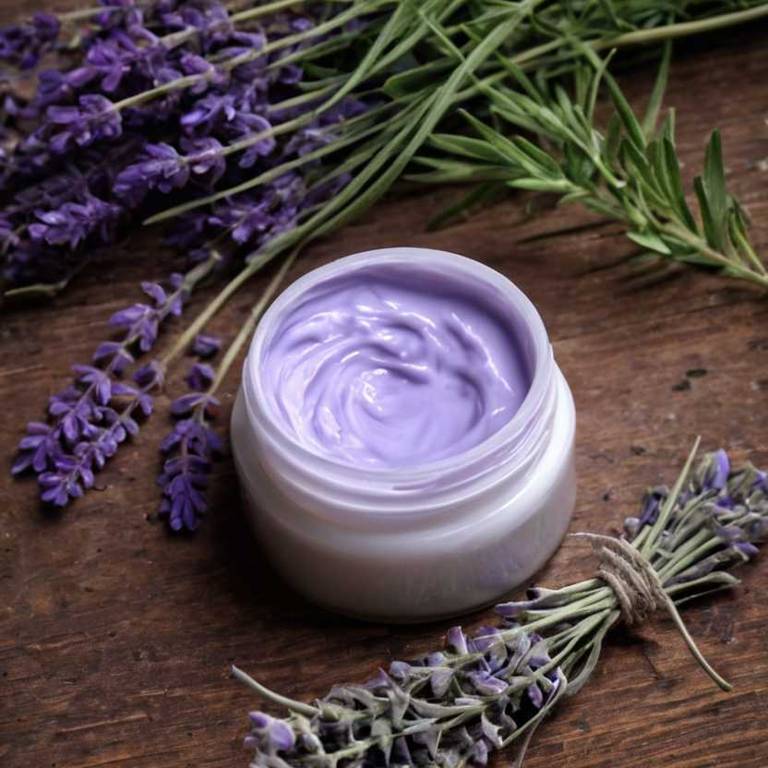 herbal creams for bladder-pain Lavandula angustifolia