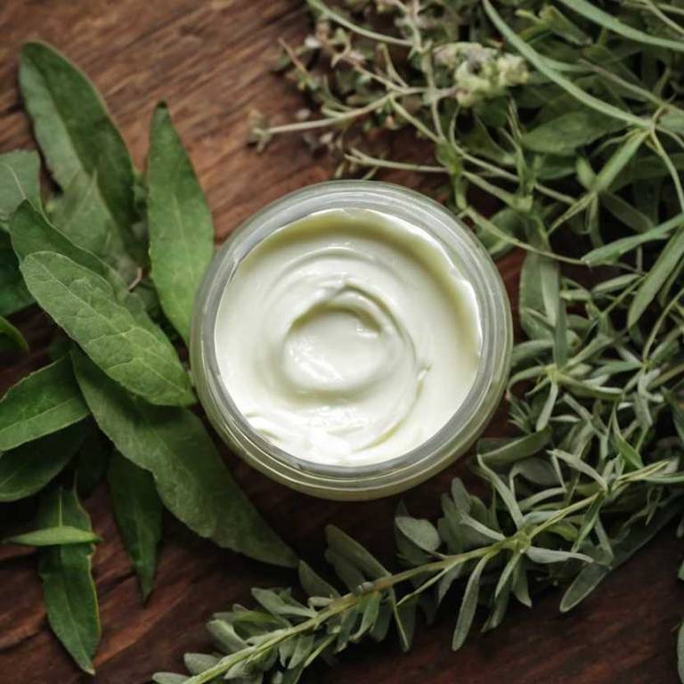 herbal creams for body-odor Eucalyptus globulus