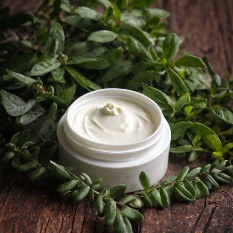 herbal creams for body-odor Gaultheria procumbens