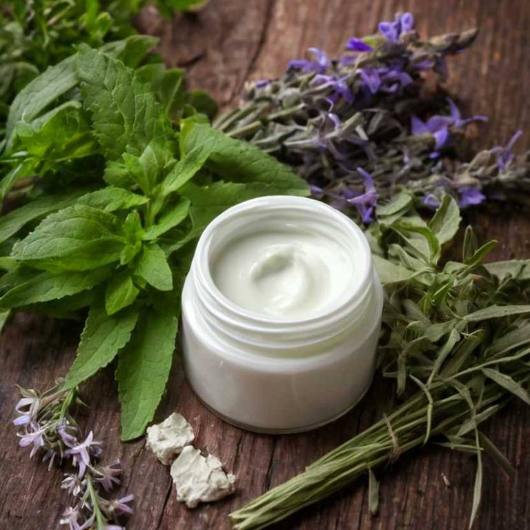 herbal creams for brain-fog Salvia officinalis