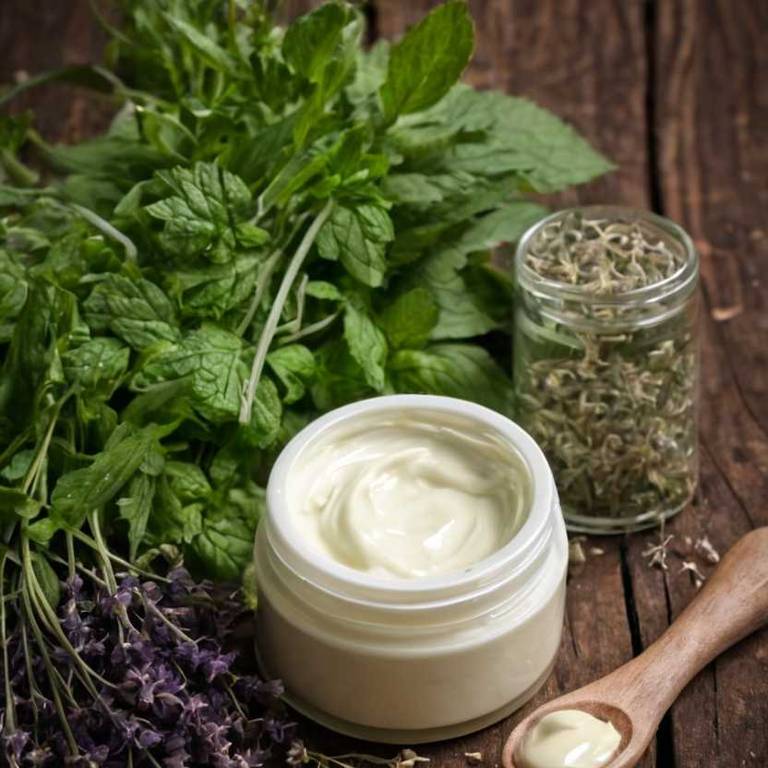 herbal creams for breastfeeding-nipple-pain Plantago major