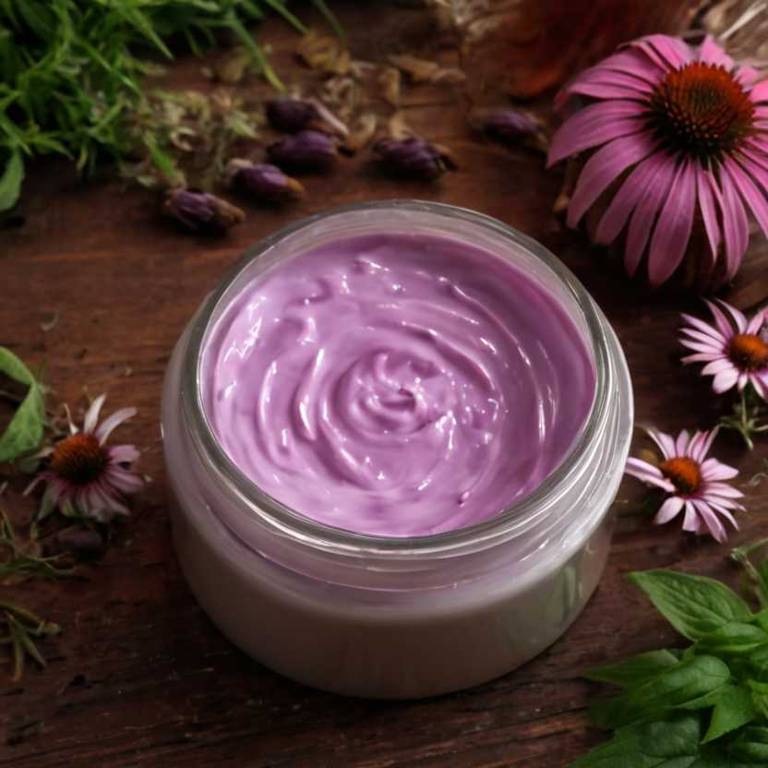 herbal creams for bruises Echinacea purpurea