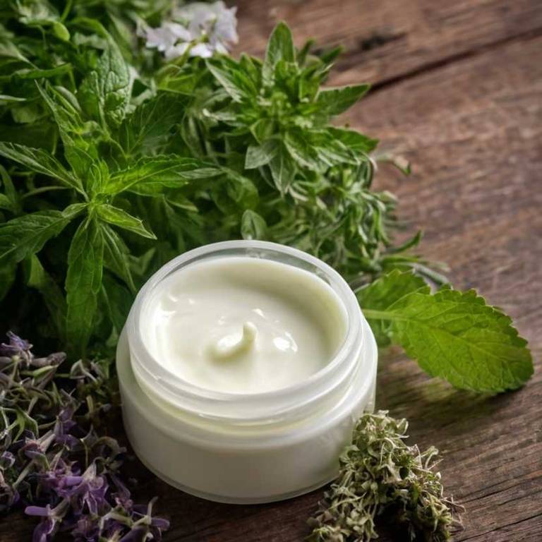 herbal creams for chills Melissa officinalis