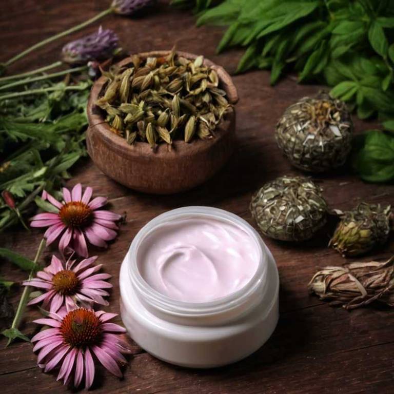 herbal creams for cold-sore Echinacea angustifolia