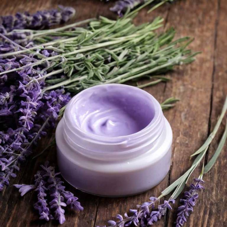 herbal creams for cramps Lavandula angustifolia