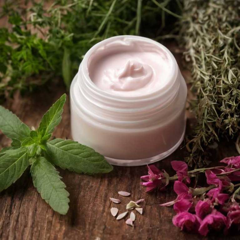 herbal creams for dry-lips Rosa rubiginosa