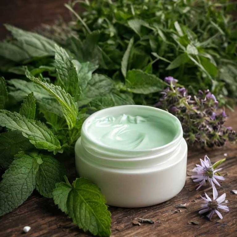 herbal creams for dry-nose Mentha x piperita