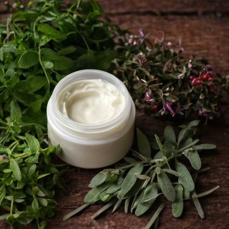 herbal creams for earache Gaultheria procumbens