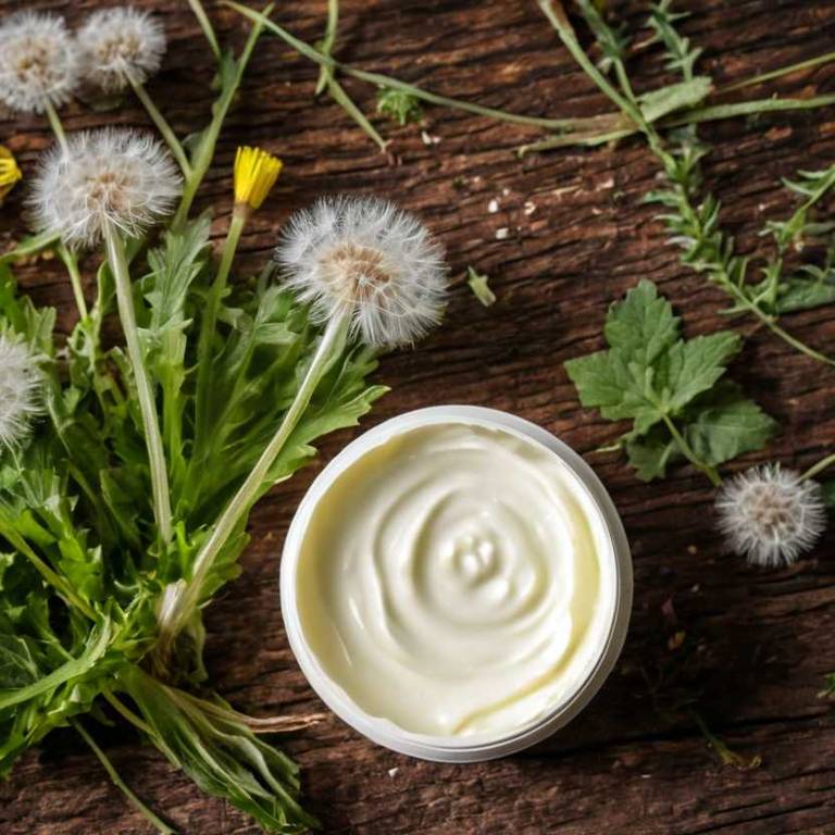 herbal creams for endometriosis Taraxacum officinale