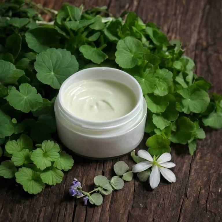 herbal creams for eye-bags Centella asiatica