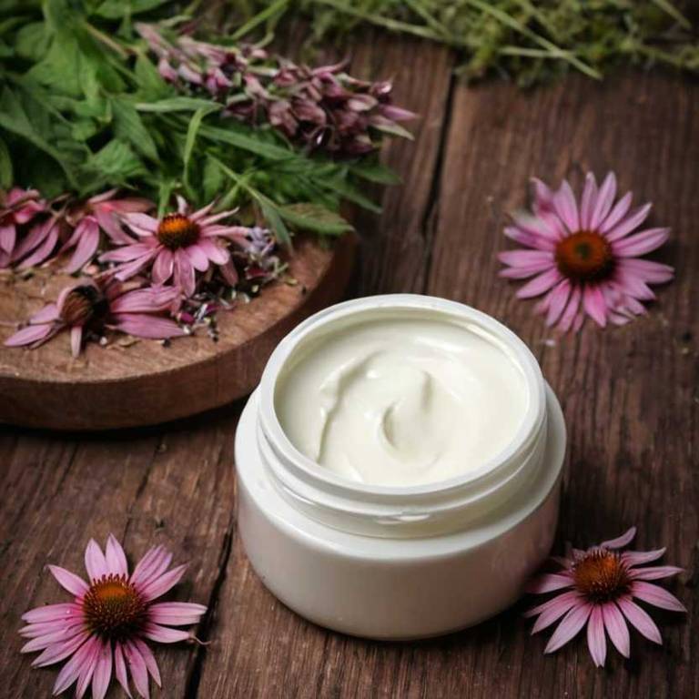 herbal creams for fungal-infection Echinacea angustifolia