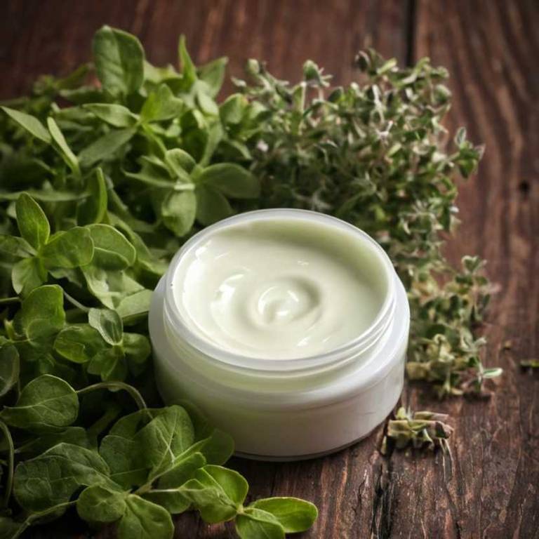 herbal creams for fungal-infection Origanum vulgare