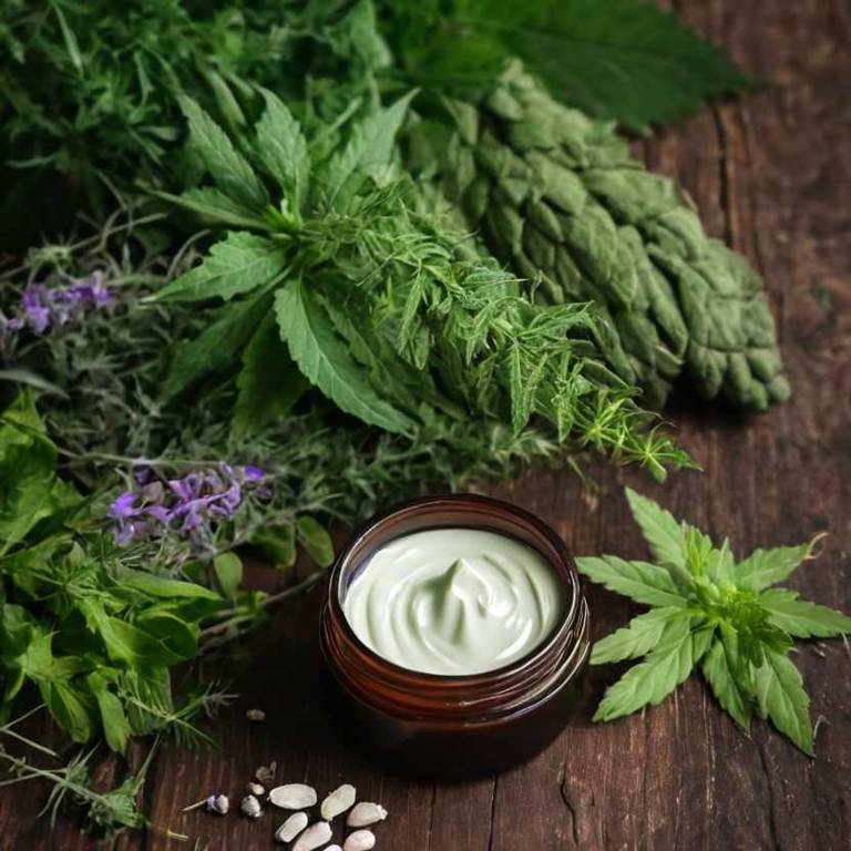 herbal creams for fungal-skin-infection Azadirachta indica