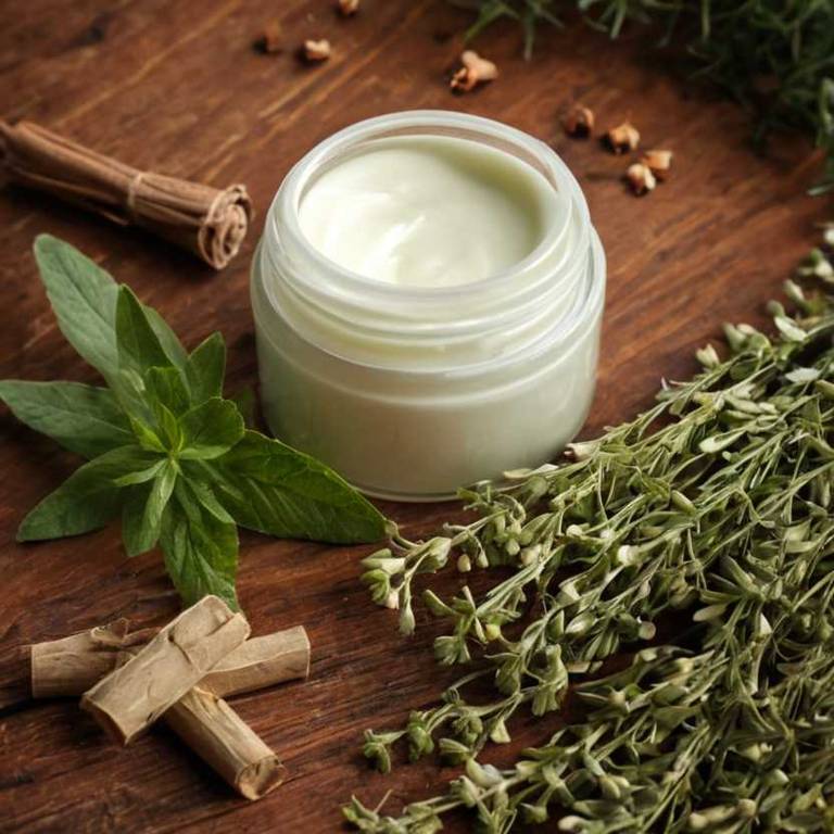 herbal creams for gerd Cinnamomum verum