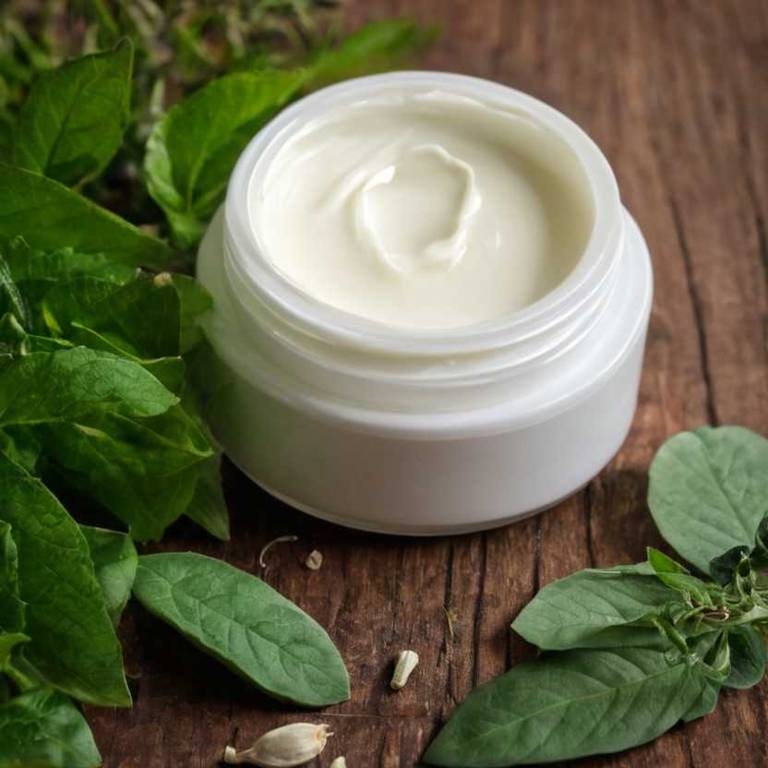 herbal creams for glowing-skin Camellia sinensis