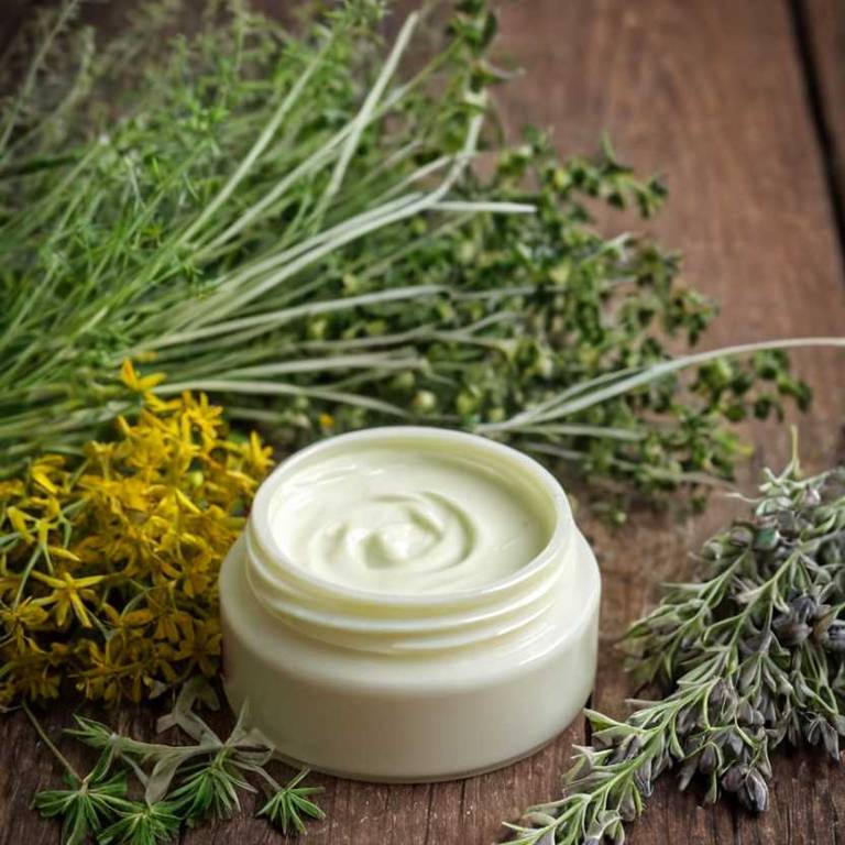 herbal creams for heartburn Foeniculum vulgare