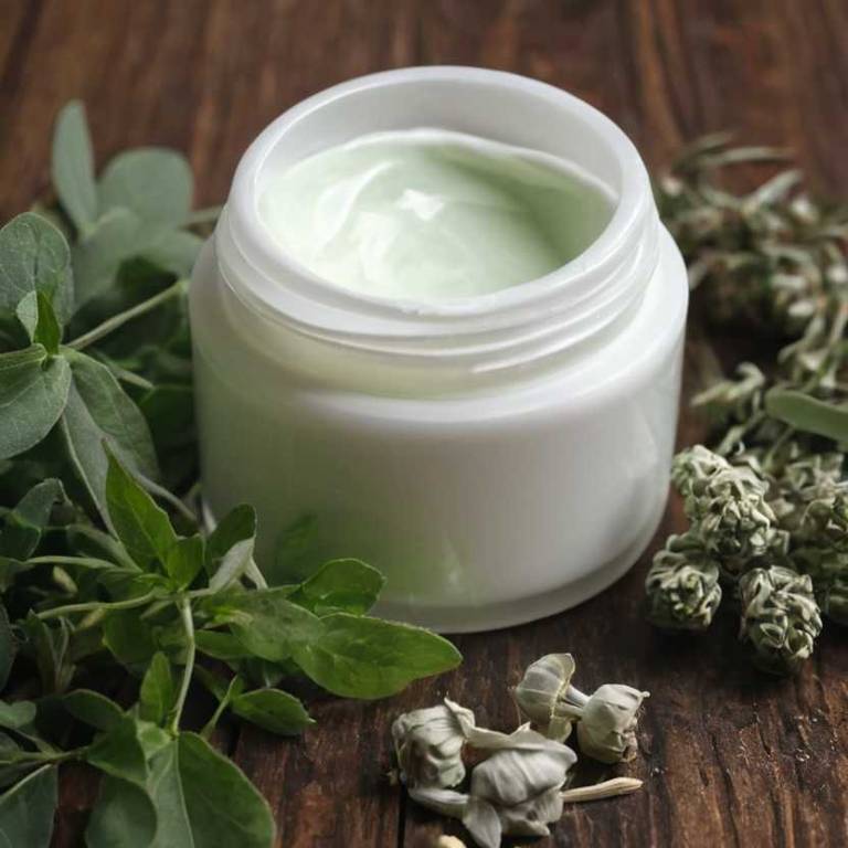 herbal creams for hoarse-voice Eucalyptus globulus