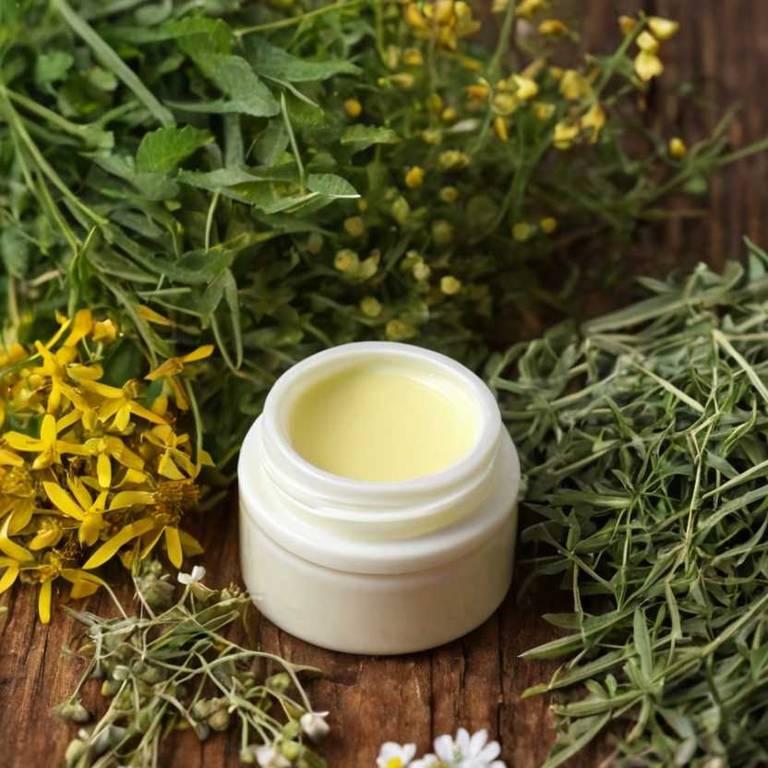 herbal creams for hyperacidity Hypericum perforatum