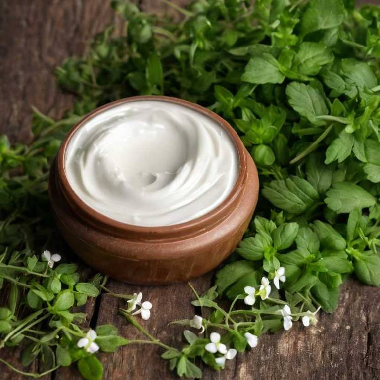 herbal creams for hypertension Bacopa monnieri