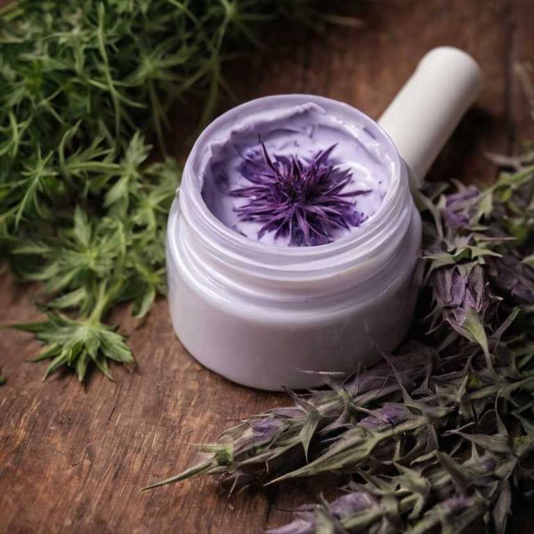 herbal creams for hypothyroidism Silybum marianum