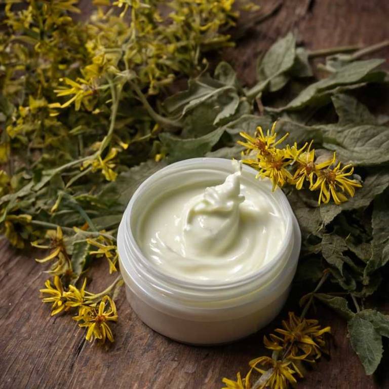 herbal creams for ingrown-toenail Hamamelis virginiana